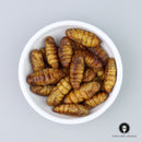 Yudong Silkworm Pupa - 130g/4.6oz-5