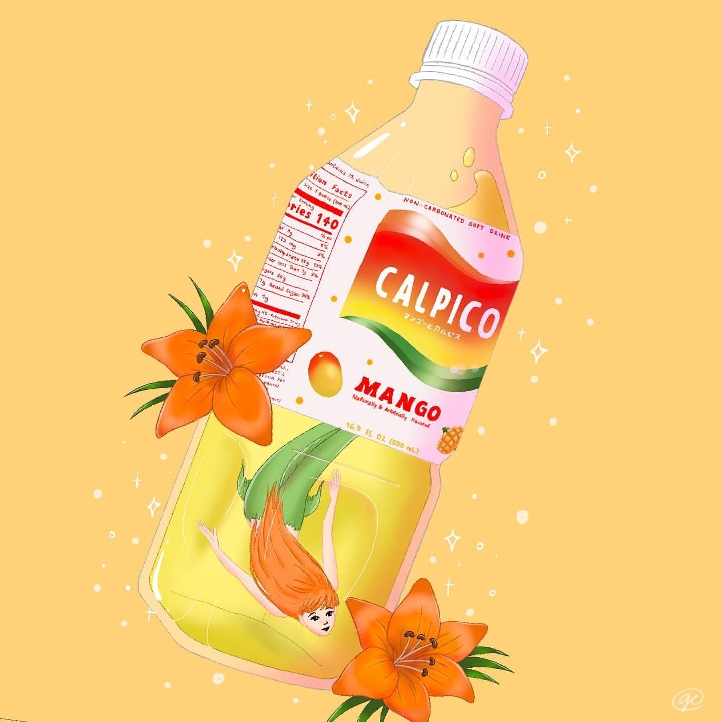Mango Calpico - 500ml/16.9FLoz-3