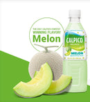 Calpico Melon - 500ml/16.9FLoz-3