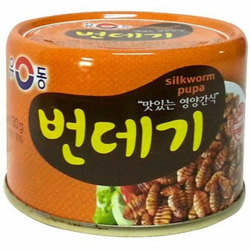 유동 누에 번데기 - 130g/4.6oz